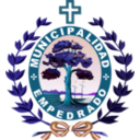 download Escudo De La Municipalidad De Empedrado clipart image with 180 hue color