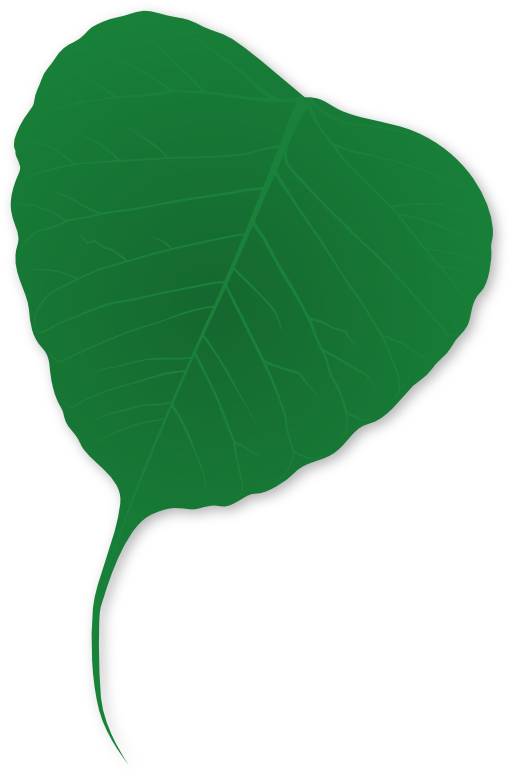 Ginko Leaf