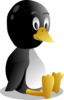 Bb Pingu