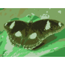 download Butterfly On Leaf clipart image with 45 hue color