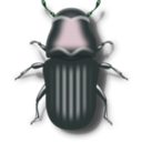 download Pine Beetle clipart image with 135 hue color
