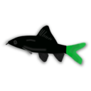 download Aquarium Fish Epalzeorhynchos clipart image with 135 hue color