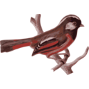 download Lioparus Chrysotis clipart image with 315 hue color