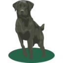 download Black Lab clipart image with 90 hue color