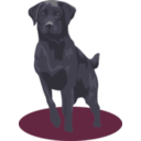 download Black Lab clipart image with 270 hue color