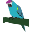 download Parrot clipart image with 90 hue color