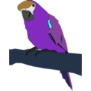 download Parrot clipart image with 180 hue color