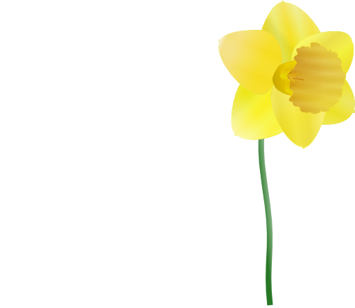 Daffodil